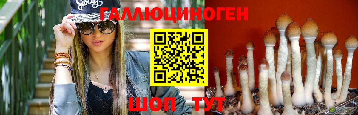 Галлюциногенные грибы мицелий  Вход с VPN  Сегежа 